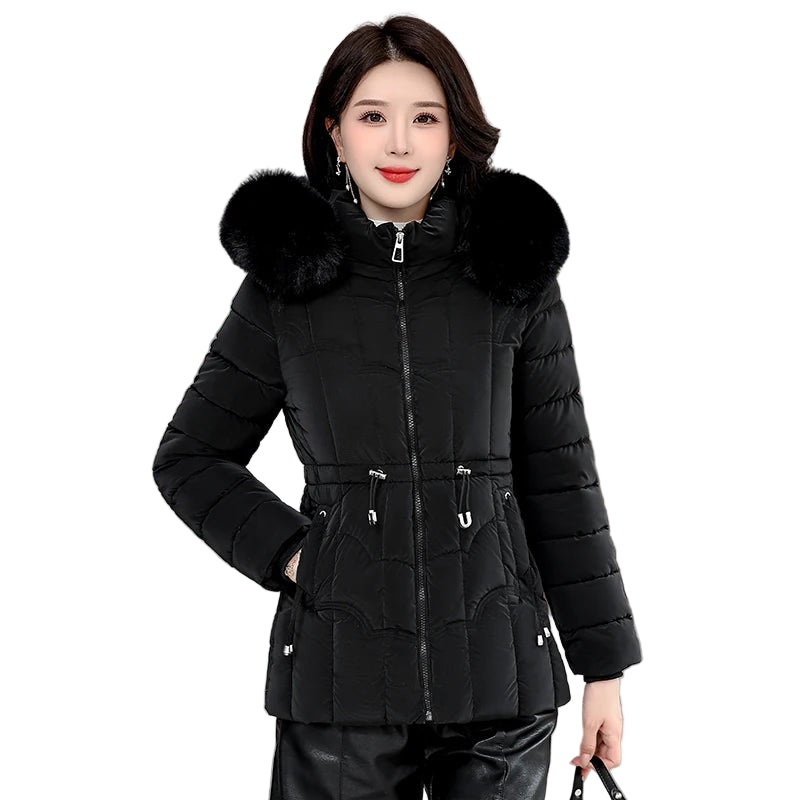 New Jacket  Padded Cotton 2025