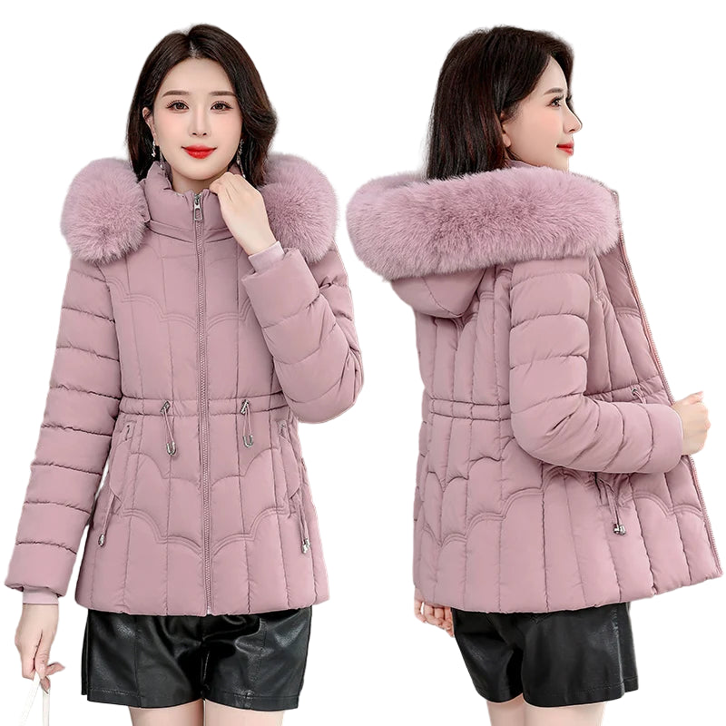 New Jacket  Padded Cotton 2025